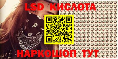 шишки Аргун