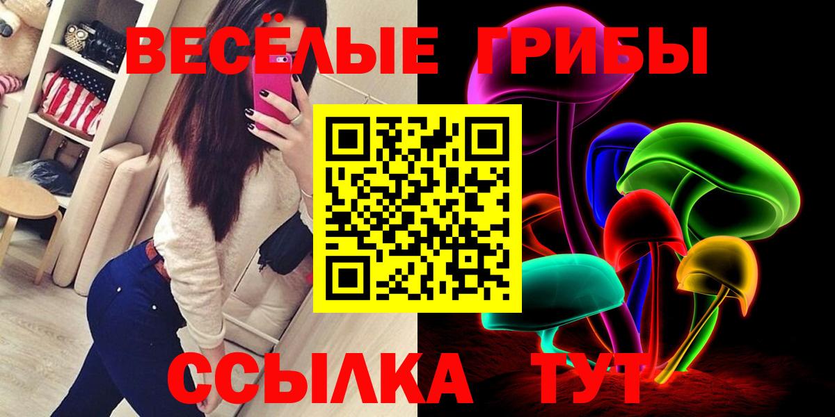 Владивосток  Псилоцибиновые грибы мухоморы  продажа наркотиков  Вход с VPN  Галлюциногенные грибы Psilocybe 